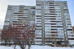 Екатеринбург, ул. Бебеля, 136 (Новая Сортировка) - фото квартиры