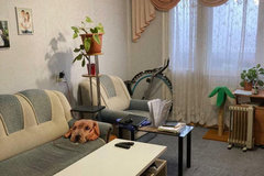 Екатеринбург, ул. Парковый, 43 (Пионерский) - фото квартиры