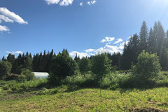 г. Нижние Серги, ул. Пугачева, 3 (Нижнесергинский район) - фото дома