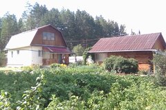 с. Кашино, Зеленый Бор (городской округ Сысертский) - фото сада