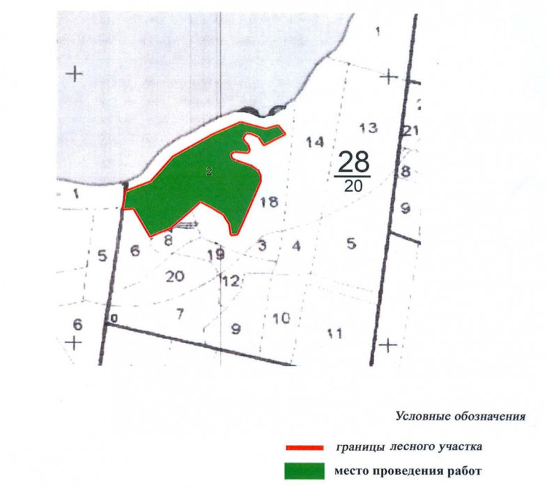 с. Кашино, ул. на берегу р. Сысерть (Ильинский пруд) (городской округ Сысертский) - фото земельного участка (4)