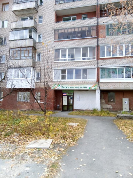 г. Дегтярск, ул. Гагарина, 5 (городской округ Город Дегтярск) - фото торговой площади (1)