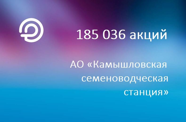 г. Камышлов, ул. Агрономическая улица, 1 (городской округ Камышловский) - фото готового бизнеса (2)