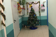 Екатеринбург, ул. Юлиуса Фучика, 7 (Автовокзал) - фото квартиры