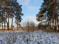Продажа земельного участка: Екатеринбург, ул. Хоровой - Фото 1