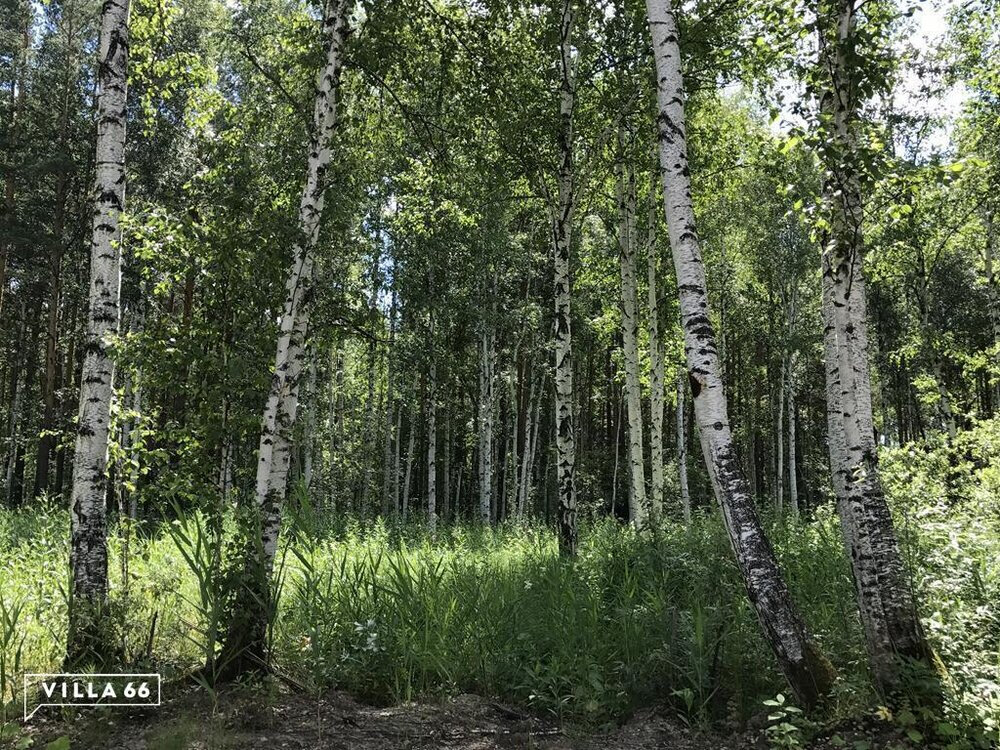 к.п. Заповедник, ул. Совята, 8 (городской округ Сысертский, п. Габиевский) - фото земельного участка (1)