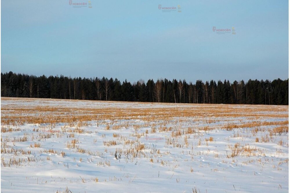 с. Большебрусянское, ул. Р-354, 45 километр (городской округ Белоярский) - фото земельного участка (2)