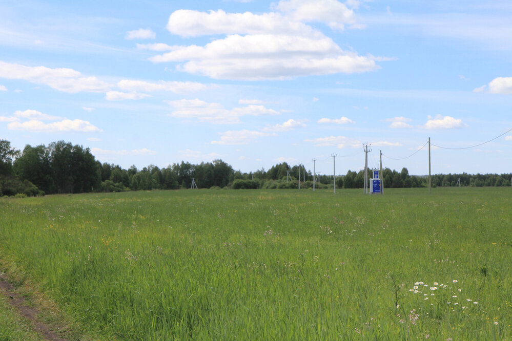 с. Мезенское, ул. Трактовая, 1 (городской округ Заречный) - фото земельного участка (1)