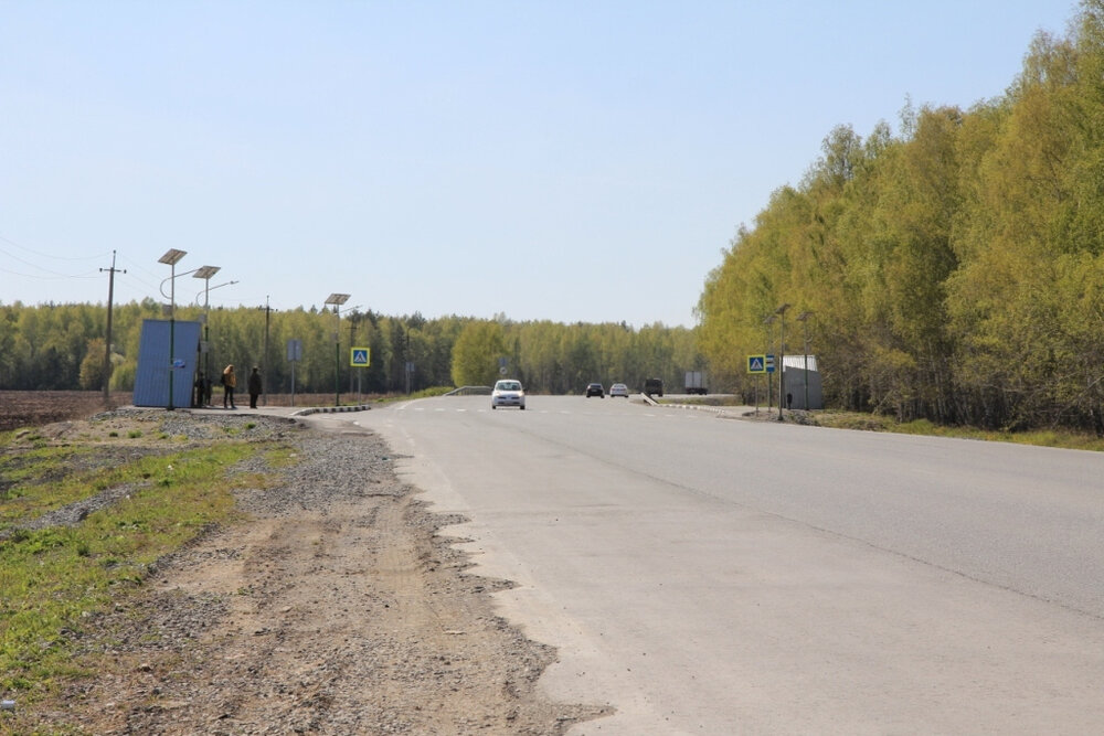 с. Мезенское, ул. Трактовая, 1 (городской округ Заречный) - фото земельного участка (4)