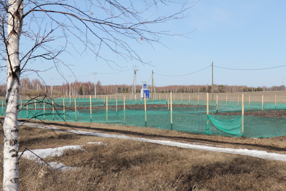 с. Мезенское, ул. Трактовая, 1 (городской округ Заречный) - фото земельного участка (7)