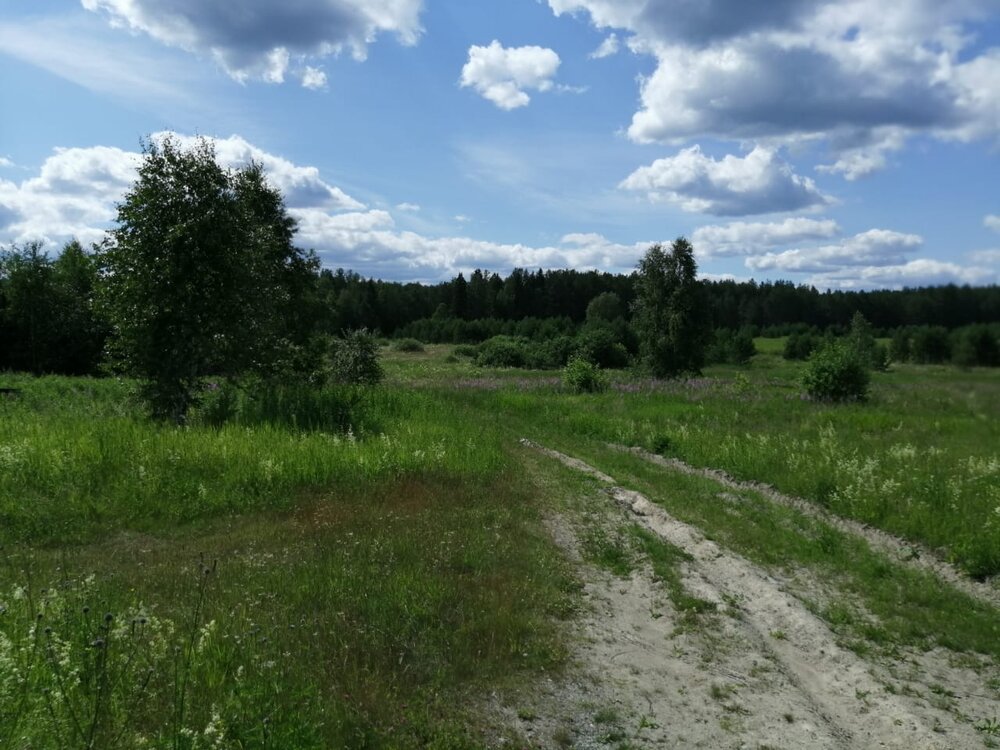 п. Первомайский (г.о. Пышма) (городской округ Верхняя Пышма) - фото земельного участка (6)