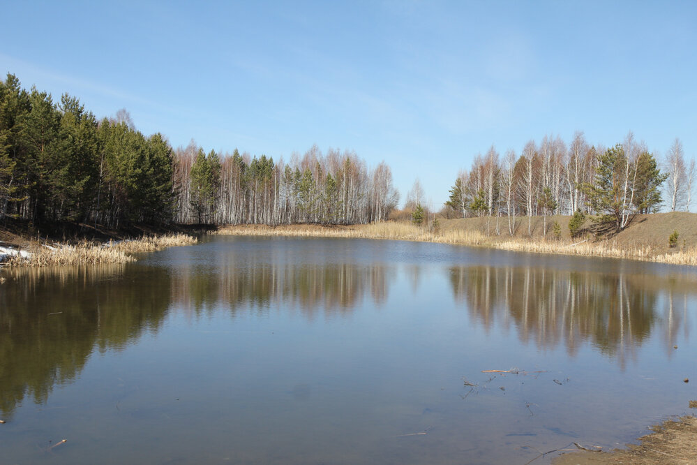 с. Мезенское (городской округ Заречный) - фото земельного участка (6)