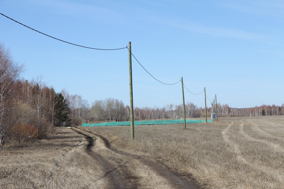 с. Мезенское (городской округ Заречный) - фото земельного участка (7)