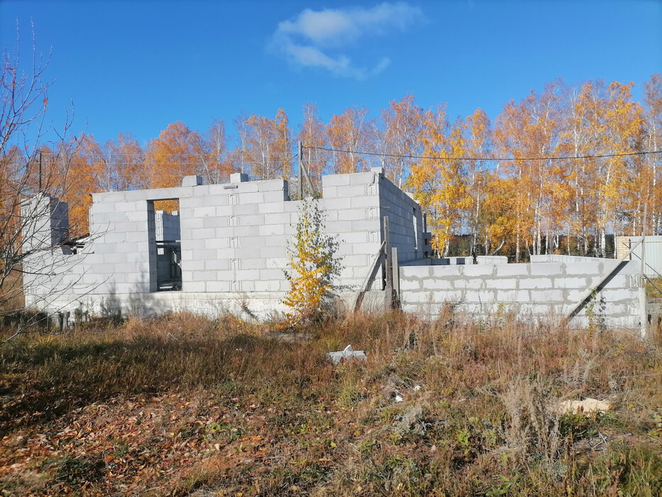 с. Мезенское, ул. Клубничная, 29 (городской округ Заречный) - фото земельного участка (5)