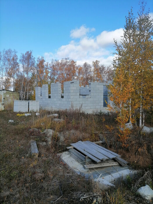 с. Мезенское, ул. Клубничная, 29 (городской округ Заречный) - фото земельного участка (7)