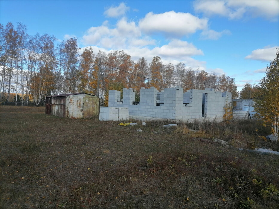 с. Мезенское, ул. Клубничная, 29 (городской округ Заречный) - фото земельного участка (8)