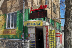 Екатеринбург, ул. Инженерная, 34 (Химмаш) - фото готового бизнеса