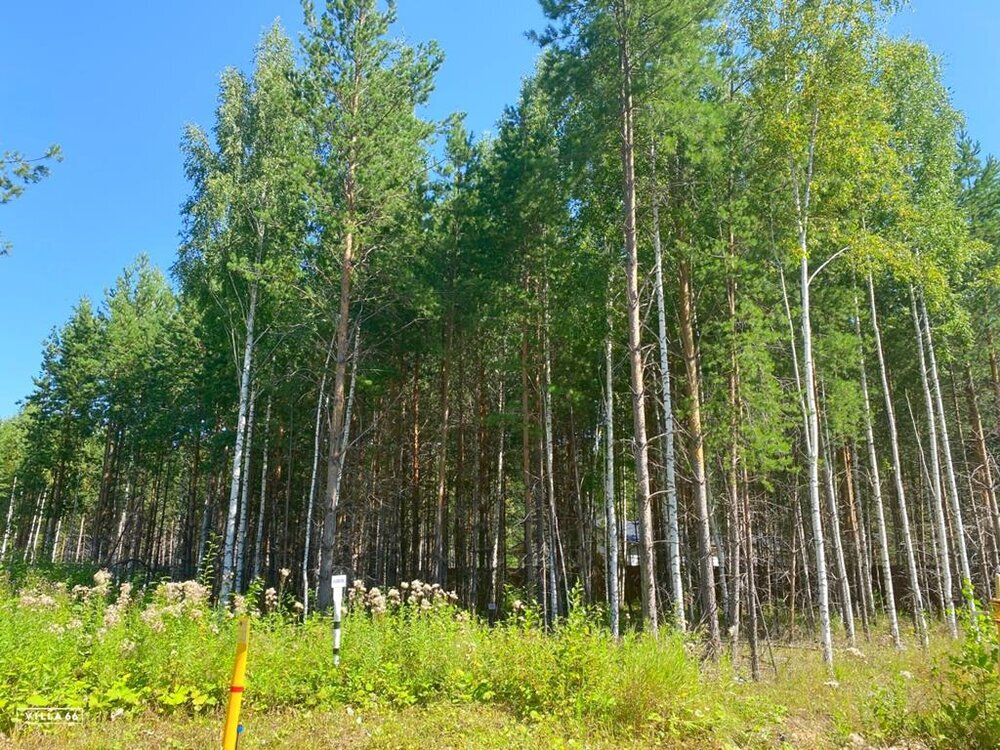 к.п. Заповедник, ул. Жаворонок, 50 (городской округ Сысертский, п. Габиевский) - фото земельного участка (1)