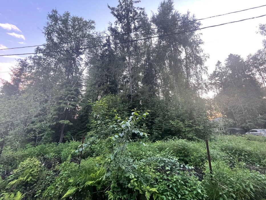 к.п. Новое созвездие, Октябрьский район, Екатеринбург, 16, ул., 13 (Выберите район) - фото земельного участка (1)