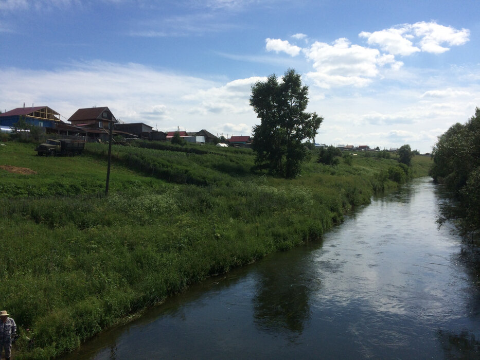 с. Пристань, ул. Партизанская, 12 (городской округ Артинский) - фото земельного участка (3)