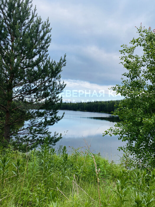 с. Кунара, ул. Чапаева (городской округ Невьянский) - фото земельного участка (1)