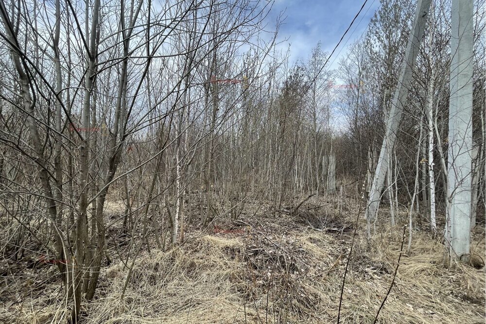 поселок городского типа Белоярский, ул. Родниковая, 1 (городской округ Белоярский) - фото земельного участка (4)