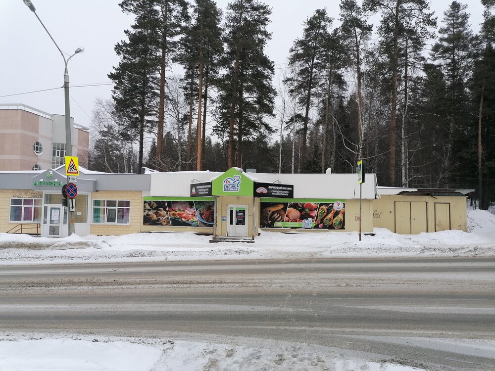 г. Новоуральск, ул. Тегенцева, 3 (городской округ Новоуральский) - фото торговой площади (1)