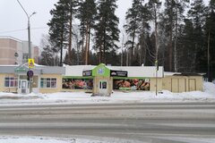 г. Новоуральск, ул. Тегенцева, 3 (городской округ Новоуральский) - фото торговой площади