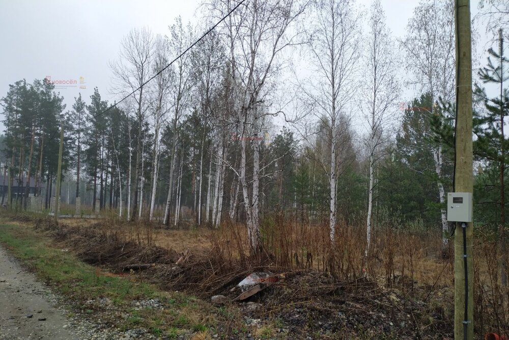 п. Гагарский, ул. 10-ая Парковая, 10 (городской округ Белоярский) - фото земельного участка (5)