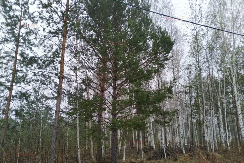 п. Гагарский, ул. 10-ая Парковая, 8 (городской округ Белоярский) - фото земельного участка (1)
