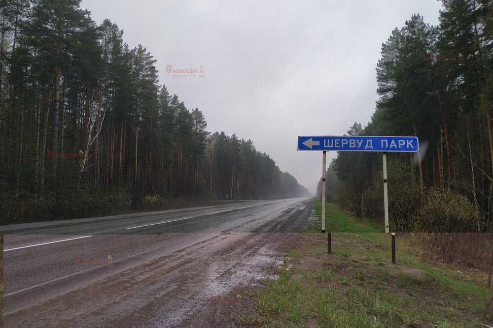 п. Гагарский, ул. 1-ая Парковая, 8 (городской округ Белоярский) - фото земельного участка (3)