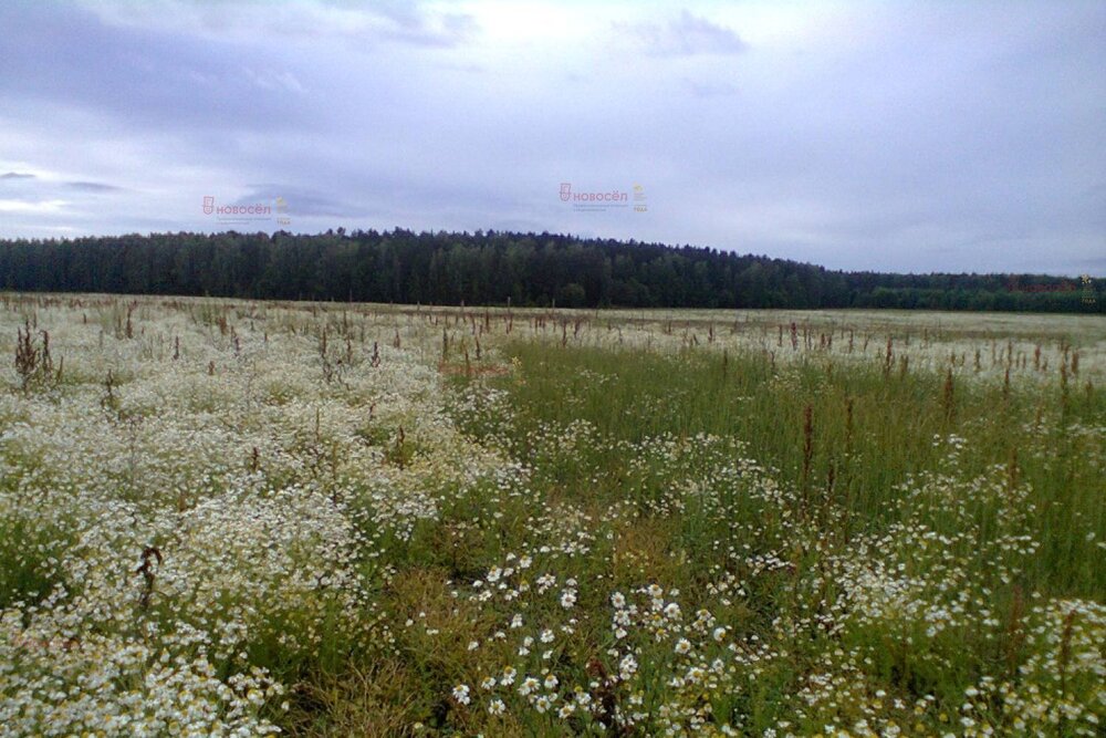 с. Курганово, ул. Европейская (городской округ Полевской) - фото земельного участка (3)