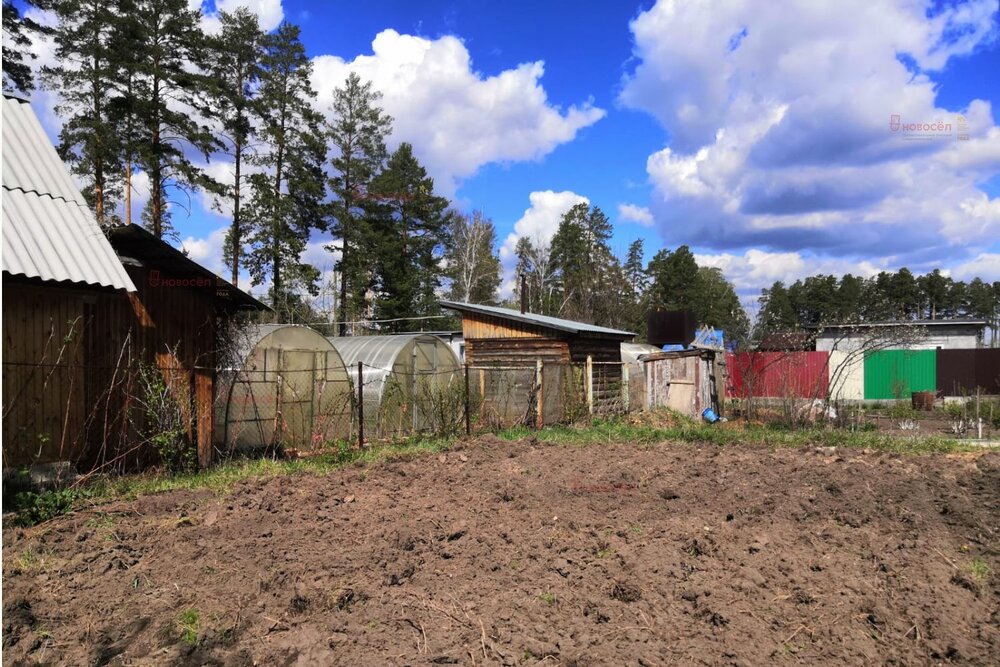 г. Березовский, к/с 76, уч. 47 (городской округ Березовский) - фото сада (5)