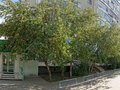 Продажа квартиры: Екатеринбург, ул. Июльская, 21 (Пионерский) - Фото 2