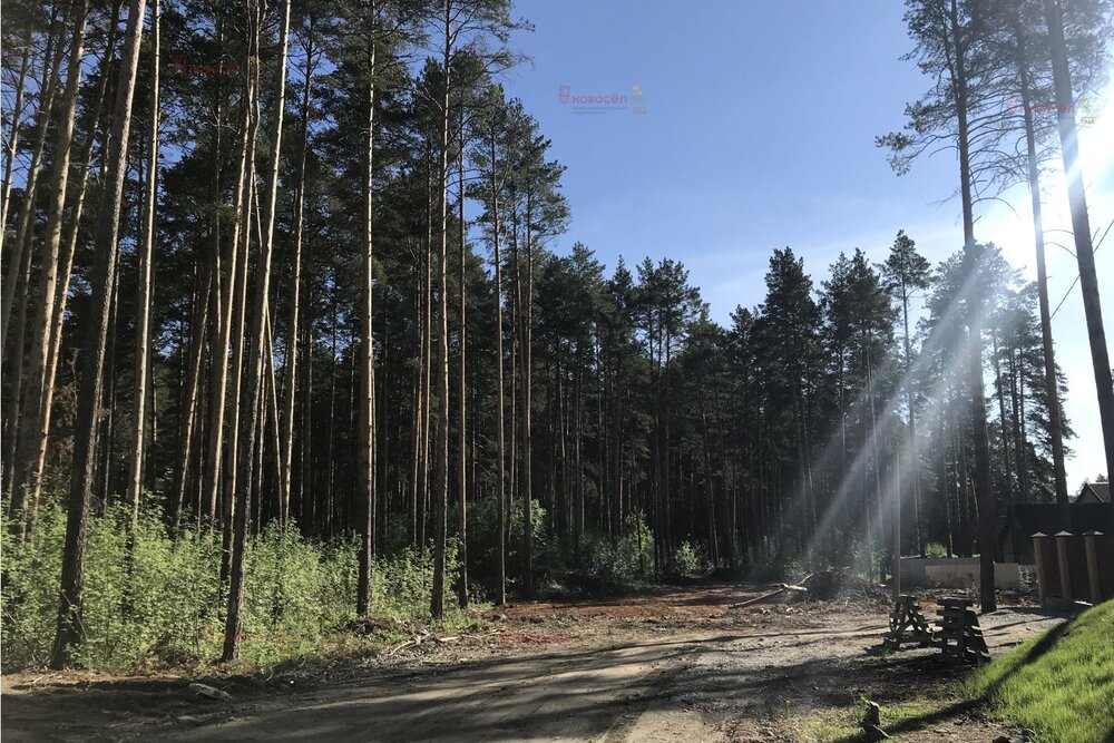 г. Березовский, ул. Нагорная, 59 (городской округ Березовский) - фото земельного участка (4)