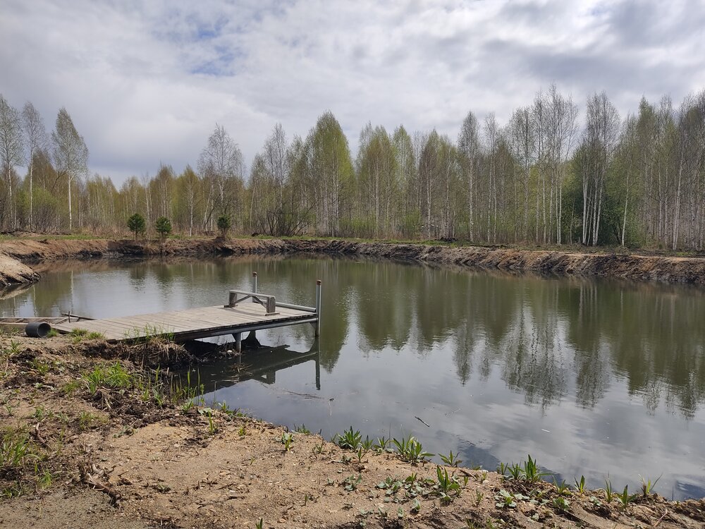 п. Монетный, СНТ №86 Энергетик-5, ул. Солнечная, 110 (городской округ Березовский) - фото сада (8)