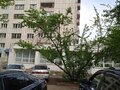 Продажа комнат: Екатеринбург, ул. Папанина, 9 (ВИЗ) - Фото 5