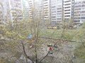 Продажа квартиры: Екатеринбург, ул. Родонитовая, 6 (Ботанический) - Фото 2