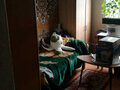 Продажа квартиры: Екатеринбург, ул. Викулова, 35/3 (ВИЗ) - Фото 4