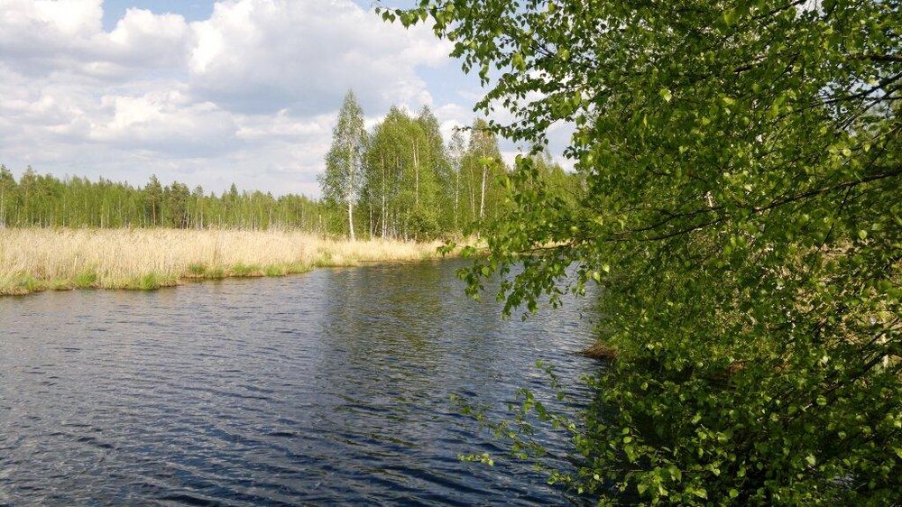 п. Ольховка (г.о. Пышма), ул. Западная (городской округ Верхняя Пышма) - фото земельного участка (7)