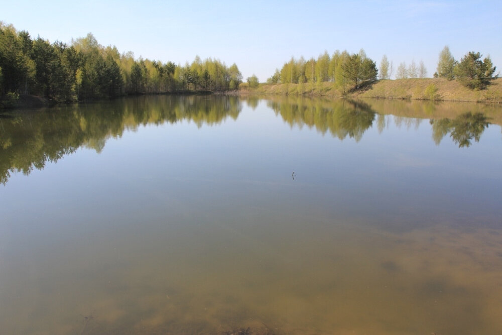 с. Мезенское, уч.   (городской округ Заречный) - фото земельного участка (1)