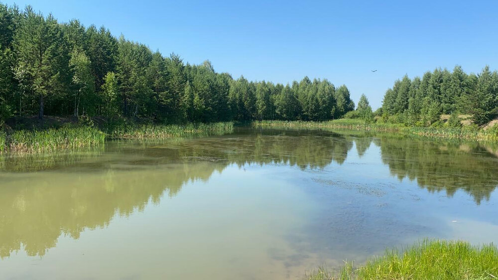 с. Мезенское, уч.   (городской округ Заречный) - фото земельного участка (4)