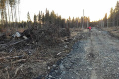 г. Ревда, ул. Сочинская, 20 (городской округ Ревда) - фото земельного участка