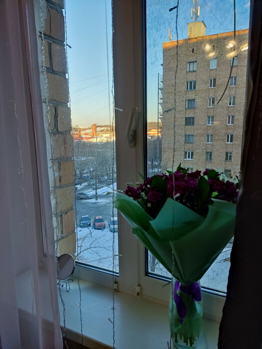 Екатеринбург, ул. Аптекарская, 37 (Вторчермет) - фото комнаты (2)