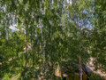 Продажа квартиры: Екатеринбург, ул. Теплоходный, 5 (Новая Сортировка) - Фото 5