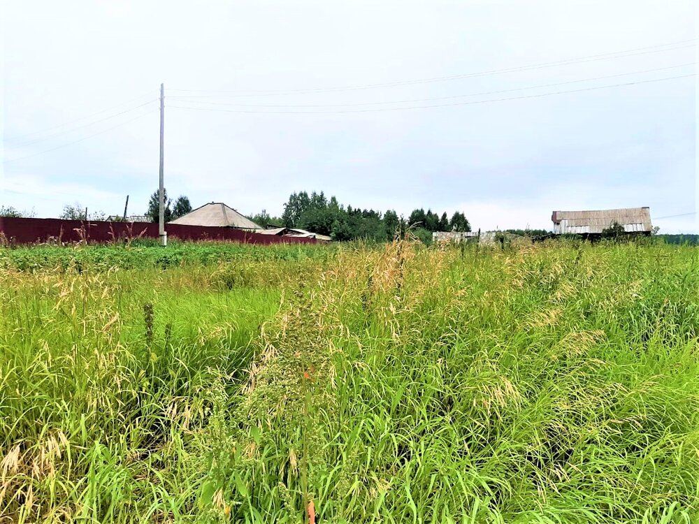 с. Реутинское, ул. Свободы, 12 (городской округ Камышловский) - фото земельного участка (2)