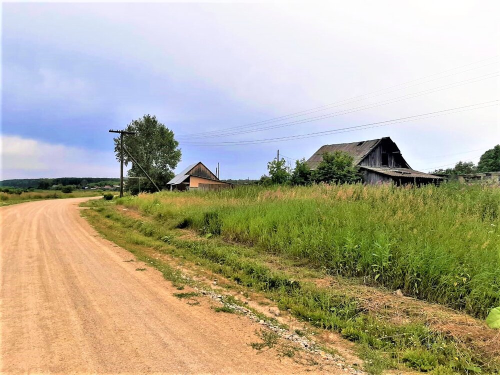 с. Реутинское, ул. Свободы, 12 (городской округ Камышловский) - фото земельного участка (4)