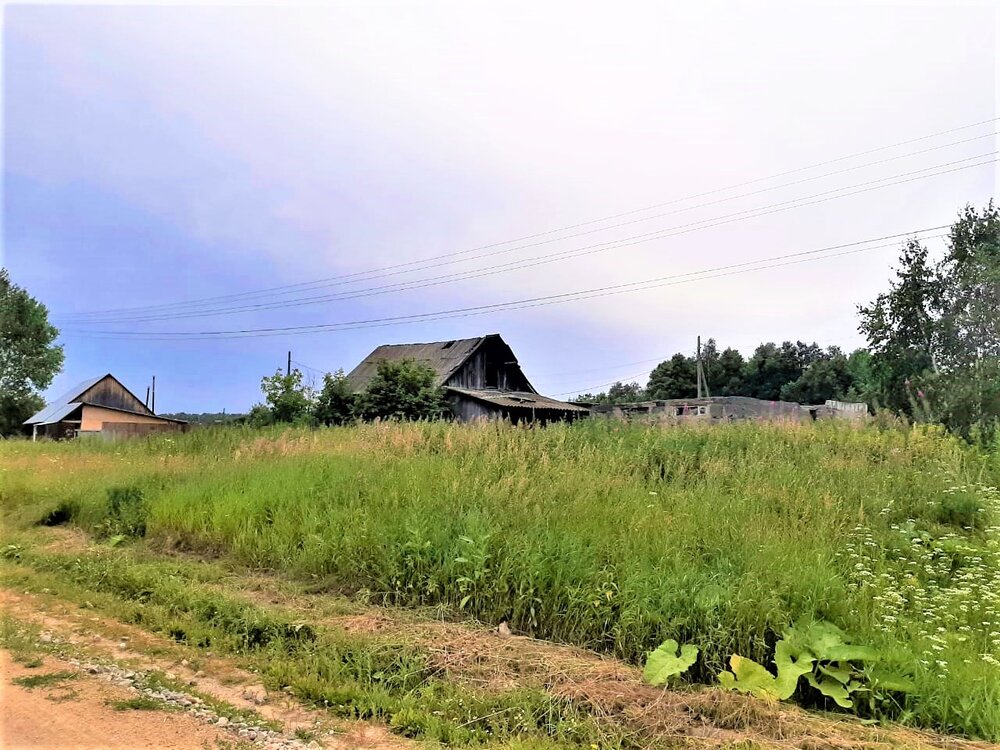 с. Реутинское, ул. Свободы, 12 (городской округ Камышловский) - фото земельного участка (7)