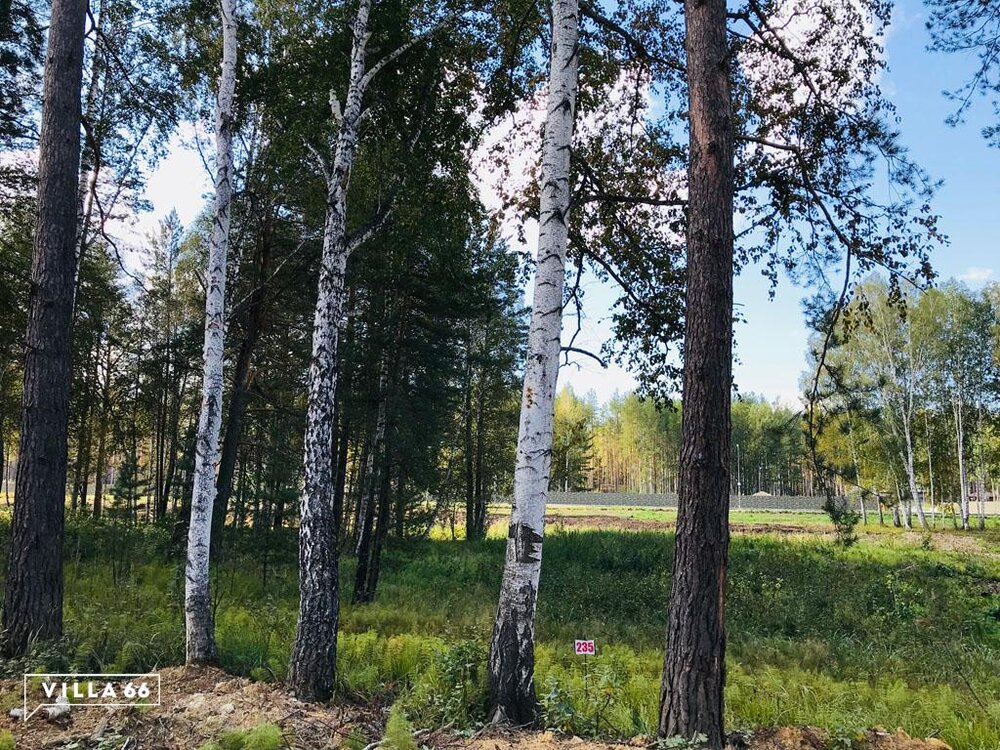 к.п. Заповедник, ул. Рысь, 235 (городской округ Сысертский, п. Габиевский) - фото земельного участка (1)