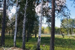 к.п. Заповедник, ул. Рысь, 235 (городской округ Сысертский, п. Габиевский) - фото земельного участка
